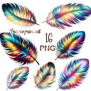 Op de afbeelding: Set van acht kleurrijke, iriserende veren met een regenboogkleurige gradiënt. De veren zijn in een cirkelvormige opstelling op een witte achtergrond geplaatst. De tekst "Transparent 16 PNG" is zichtbaar in het midden van de afbeelding.