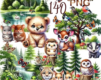 140 PNG Watercolor Cute Woodland Animal & Bird Clipart, Forest Animals and Birds,Kid's Clipart,Sublimination,Digital Download,Commercial Use