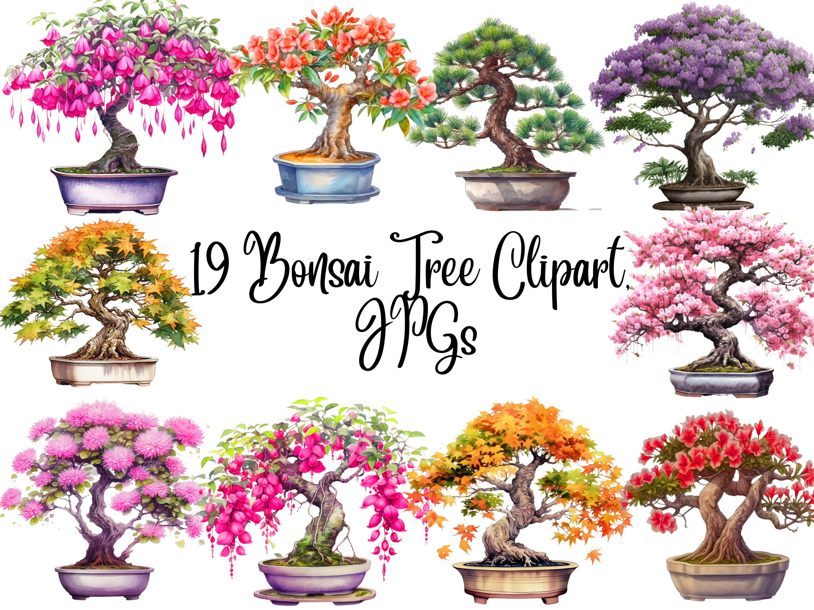 Bonsai Clipart