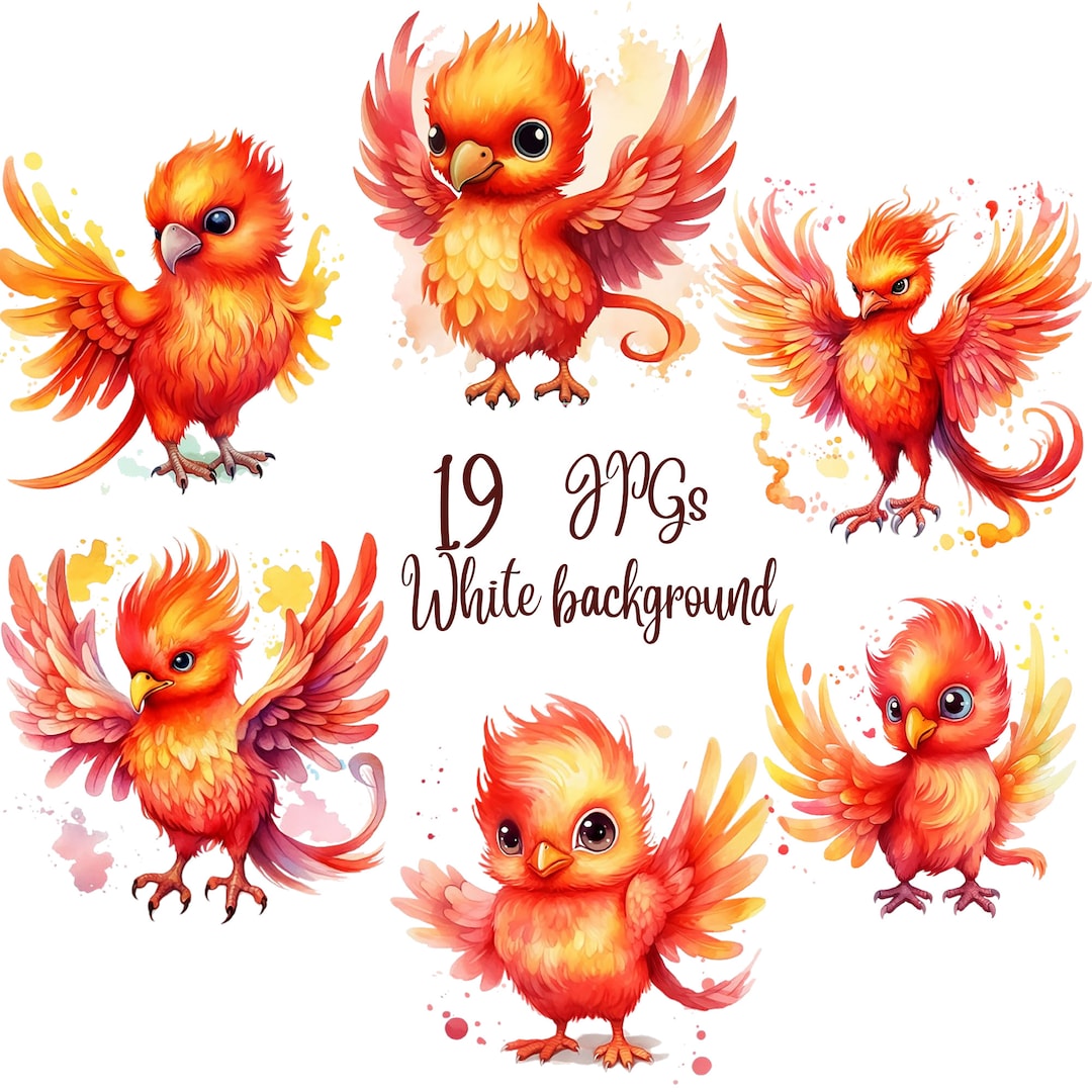 19 Baby Phoenix Clipart Bundle, PNG Fairytale Fantasy, Digital Download ...