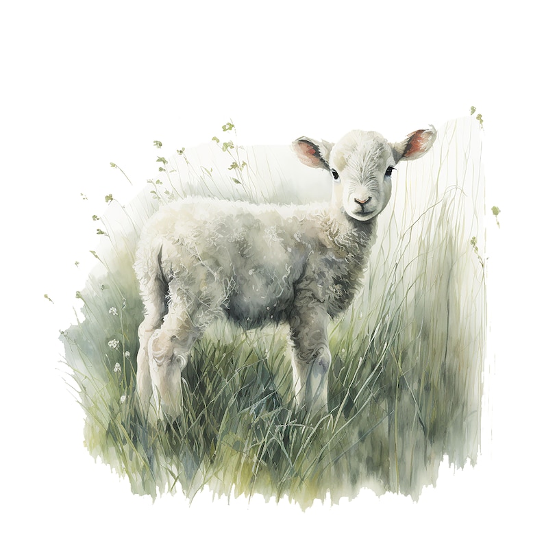 May include: Watercolor illustration of a fluffy white lamb standing in a field of green grass and wildflowers. The lamb has a soft, woolly coat and is looking directly at the viewer. The artwork has a soft, dreamy quality.