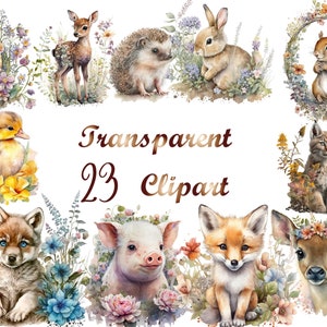 23 Spring Baby Animals PNG, Watercolor Spring Baby Animals Clipart, Baby Animals png, wild animals png, animals with floral, commercial use
