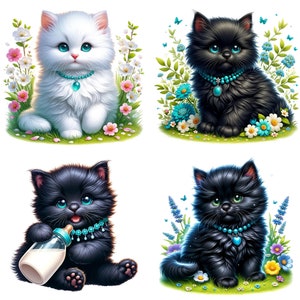 Puede incluir: Cuatro gatitos adorables, dos negros y dos blancos, est&aacute;n sentados en un campo de flores. Cada gatito lleva un collar turquesa con un dije. Los gatitos miran a la c&aacute;mara con ojos grandes y curiosos.