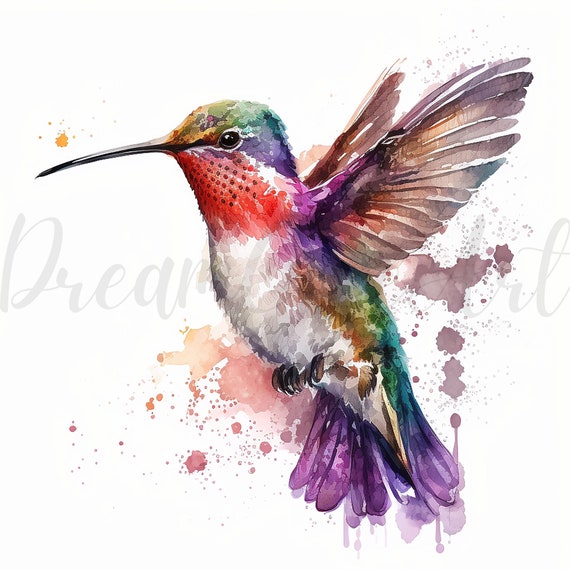 10 Hummingbird Clipart,  JPGs, Digital Download, Card Making, Clip Art, Digital Paper Craft, Hummingbird watercolor,Hummingbird illustration