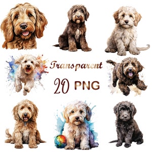 20 Labradoodle Clipart Bundle PNG, Labradoodle Dog Breed, Bundle for, Commercial Use, Dog Lover Gift, Watercolour, Wall Art