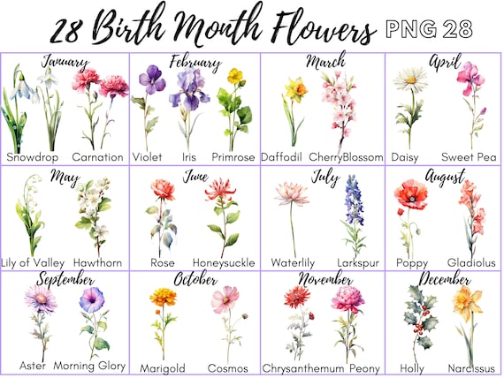 Birth Month Flower Bouquet Kit