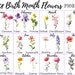 see more listings in the PNG: Transparent Flowers section