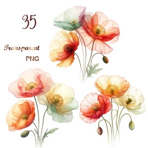 35 PNG, Abstract Poppies Clipart bundle, Poppies Art Print, Printable Watercolor clipart, Digital download, Paper craft, junk journals