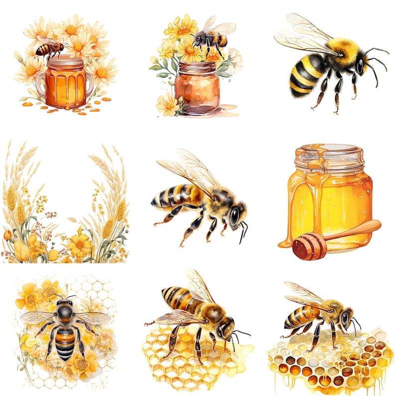 bee clipart,beehive clipart,bee illustrations,bee png,digital art bundle,honey bee,honey bee clipart,honey bee sticker,honey clipart,honey drips,honey illustration,spring graphics,watercolor clipart