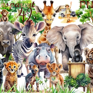 42 PNG Watercolor Safari Animals Clipart  Bundle, Nursery Clipart, Giraffe, Elephant, Lion, Zebra, Hippo, Clipart for commercial use