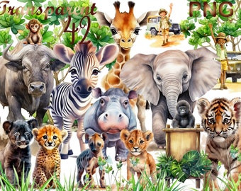 42 PNG Watercolor Safari Animals Clipart  Bundle, Nursery Clipart, Giraffe, Elephant, Lion, Zebra, Hippo, Clipart for commercial use