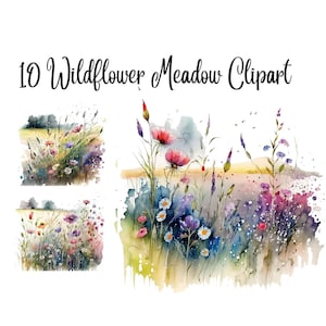 10 Wildflower Meadow Clipart, Watercolor clipart,Flowers clipart, Wildflower clipart, High Quality JPGs, Digital Download, Commercial use