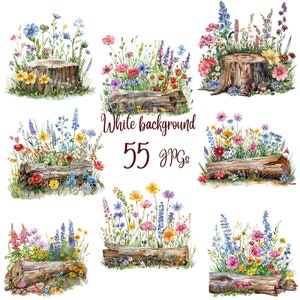 May include: Six watercolour illustrations of different arrangements of wildflowers growing around tree stumps and logs. The flowers are in shades of pink, purple, blue, yellow, and white. The text "White background 55 JPGs" is written in brown text in the centre of the image.