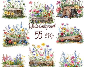 55 JPG, Wildflowers On Log Clipart bundle, Watercolor Wildflowers clipart, Wild  Flowers png Clipart bundle, Wild Flowers clipart