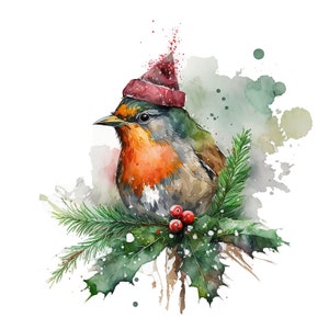 10 Robin Clipart, Christmas robin clipart, red robin clipart, robin illustration,garden birds clipart,Commercial Use,Digital Download