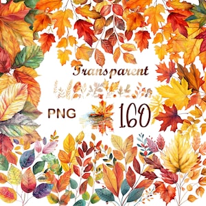 Puede incluir: Una colección de 160 ilustraciones de acuarela de hojas de otoño en varios tonos de rojo, naranja, amarillo y verde. Las hojas están dispuestas en un patrón aleatorio sobre un fondo blanco. El texto "Transparent PNG 160" está escrito en marrón en la parte inferior de la imagen.