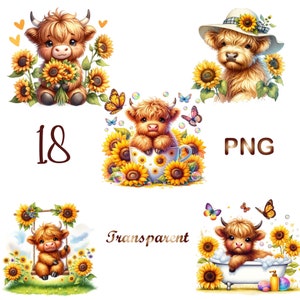 18 PNG, Watercolor Sunflower Highland Cows Collection Clipart,set2,Spring Flowers Clipart,Baby Animal,Baby Cow Clipart Bundle,Commercial Use