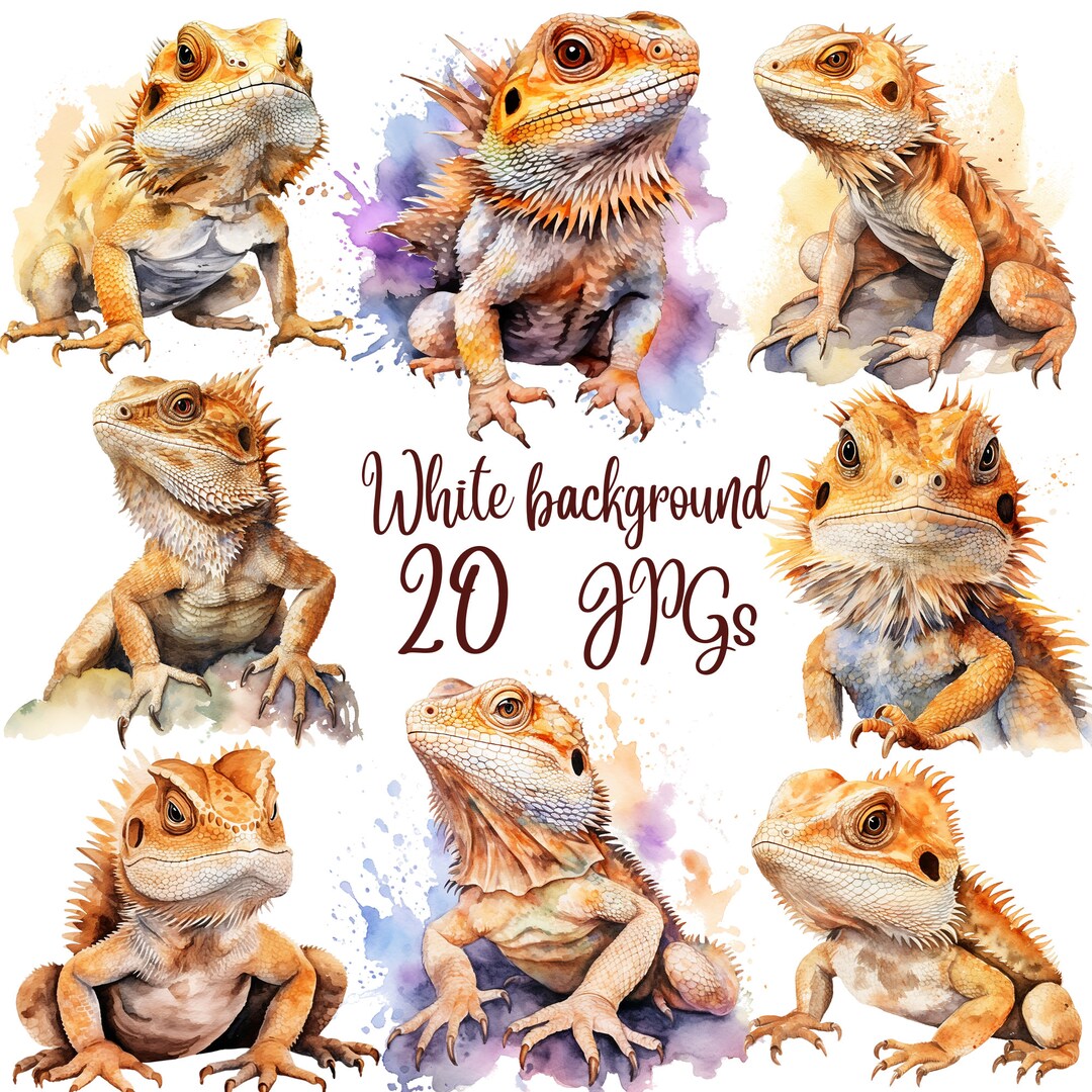 20 Watercolor Bearded Dragon Clipart, Jpgs, Bearded Dragon, Digital