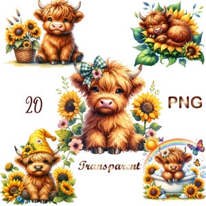 20 PNG, Watercolor Sunflower Highland Cows Collection Clipart, Spring Flowers Clipart, Baby Animal, Baby Cow Clipart Bundle, Commercial Use
