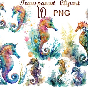 10 Seahorse png,seahorse clipart,digital download,seahorse,instant download,clipart, sublimation design,seahorse sublimation,seahorse print