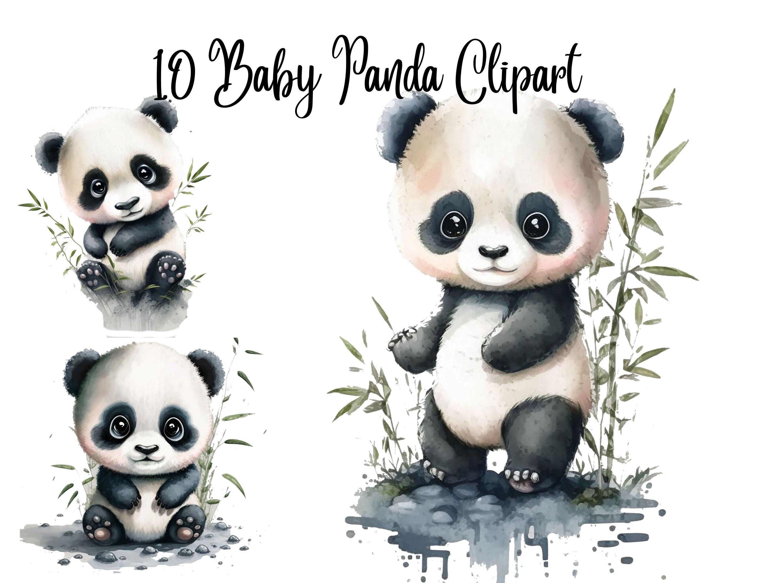 Kawaii Panda Box - Kawaii Panda - Making Life Cuter