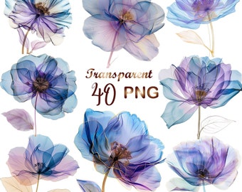 40 PNGs, Abstract Flowers Clipart bundle, Dried Flowers, Printable Watercolor clipart, Digital download, Paper craft, junk journals