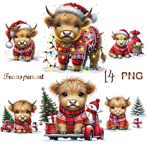 14 png, Christmas Highland cow clipart bundle,highland cow png,highland cow,highland cow clipart,cute cow png,highland heifer png