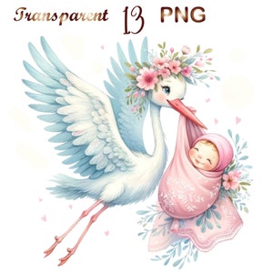 13 imágenes prediseñadas de bebé cigüeña, imágenes prediseñadas de niña cigüeña, imágenes prediseñadas de niño cigüeña, paquete de imágenes prediseñadas de llegada de bebé, paquete de imágenes prediseñadas de llegada de niña bebé, recién nacido