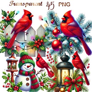 45 PNG set 2 Christmas Red Cardinal Clipart bundle, Festive Bird Illustrations designs, bird clipart, Commercial Use, Digital Download