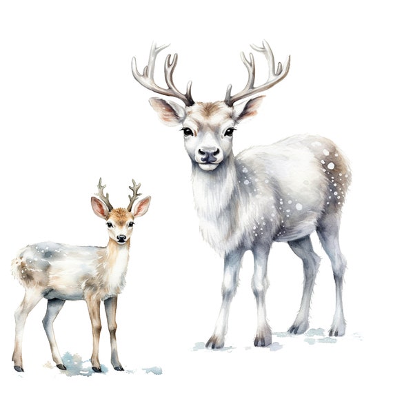 17 Christmas png, Christmas Deer png, merry christmas png,sublimation design,christmas clipart, deer png, Digital Download, Commercial use