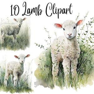 10 Lamb Clipart , High Quality JPGs, Commercial use, Paper crafts, Junk Journals, Watercolor Fawn, Fawn clipart, Fawns png, Fawn png Draft