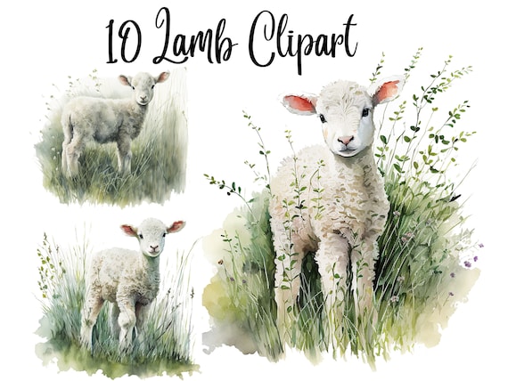 10 Lamb Clipart , High Quality JPGs, Commercial use, Paper crafts, Junk Journals, Watercolor Fawn, Fawn clipart, Fawns png, Fawn png