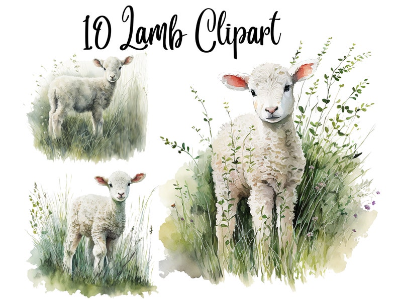 10 Lamb Clipart , High Quality JPGs, Commercial use, Paper crafts, Junk Journals, Watercolor Fawn, Fawn clipart, Fawns png, Fawn png Draft