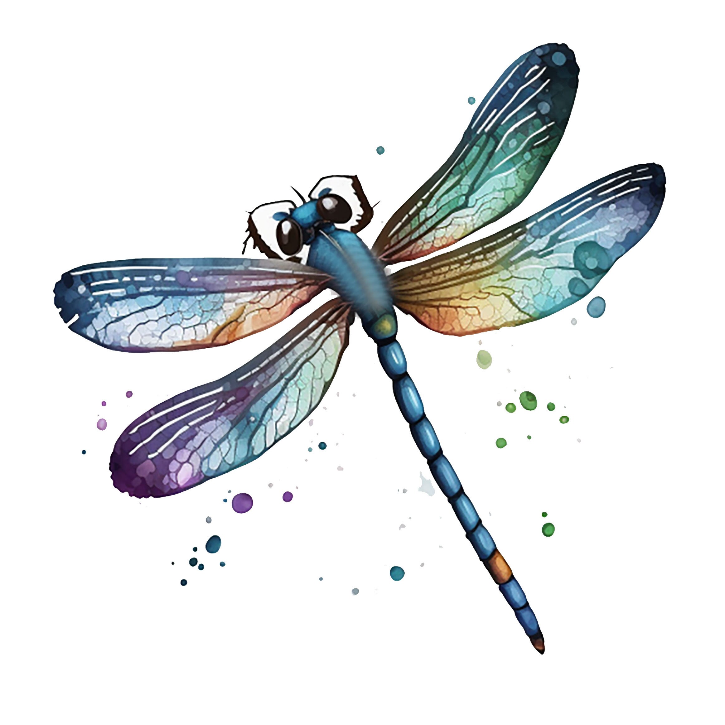 blue_dragonfly33  Dragonfly photos, Dragonfly images, Watercolor dragonfly