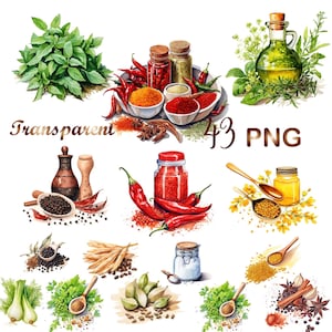 43 PNG, Aquarell Gewürze Clipart, Lebensmittel Clipart Bündel, Ginger png, Gewürz png, Paprika png, Papiermodell, Scrapbook, Junk Journal