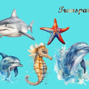 Puede incluir: Ilustraci&oacute;n de acuarela de un tibur&oacute;n, dos delfines, un caballito de mar y una estrella de mar sobre un fondo azul. La palabra "Transparent" est&aacute; escrita en letras doradas en la parte superior de la imagen.