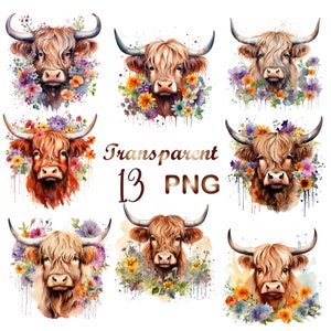 13  Spring Floral Highland Cow bundle PNG, highland cow clipart PNG, highland cow clipart, highland cow art,cute cow png,highland heifer png