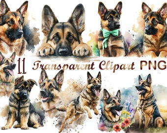 11 German Shepherd Clipart png, Dog Clipart, Watercolor Clipart, German Shepherd png, commercial use, digital download, sublimation