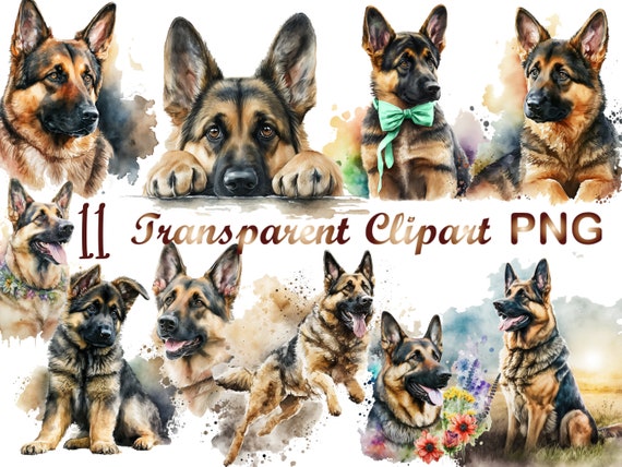 11 German Shepherd Clipart png, Dog Clipart, Watercolor Clipart, German Shepherd png, commercial use, digital download, sublimation