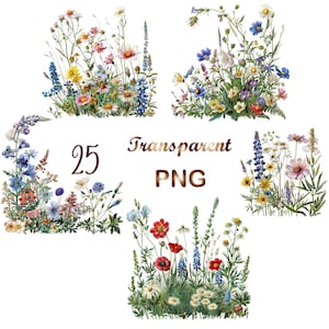 25 PNG, Wildflower meadow clipart,Summer floral nature images,Wild flowers for print,collage, scrapbook,junk journal etc Free commercial use