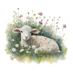 Op de afbeelding: Waterverfillustratie van een wit lam rustend in een veld met wilde bloemen. Het lam heeft roze oren en is omgeven door groen gras, madeliefjes en roze en paarse bloemen. Het kunstwerk heeft een zachte, dromerige kwaliteit.