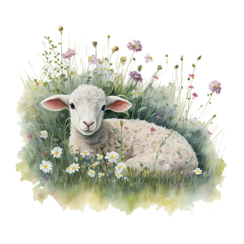 Op de afbeelding: Waterverfillustratie van een wit lam rustend in een veld met wilde bloemen. Het lam heeft roze oren en is omgeven door groen gras, madeliefjes en roze en paarse bloemen. Het kunstwerk heeft een zachte, dromerige kwaliteit.