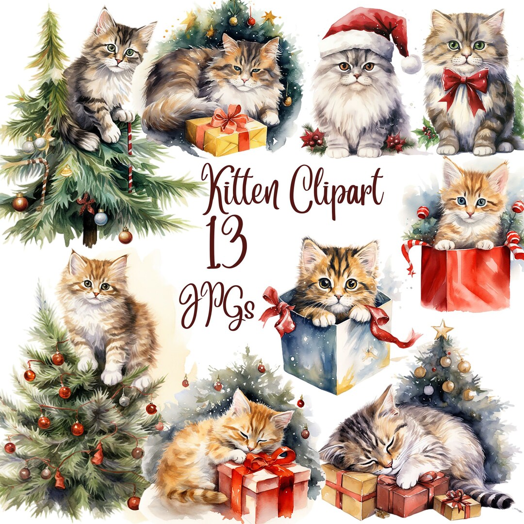 13 Watercolor Kitten Clipart High Quality Jpgs Digital - Etsy