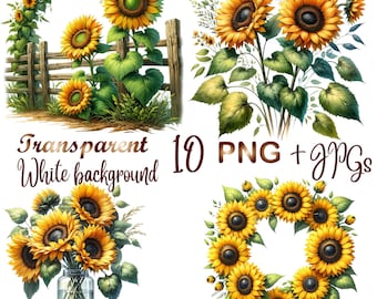 10 PNG/JPG, Watercolor sunflowers clipart, sunflower wreath, floral clip art, sunflower sublimation, commercial use, digital download