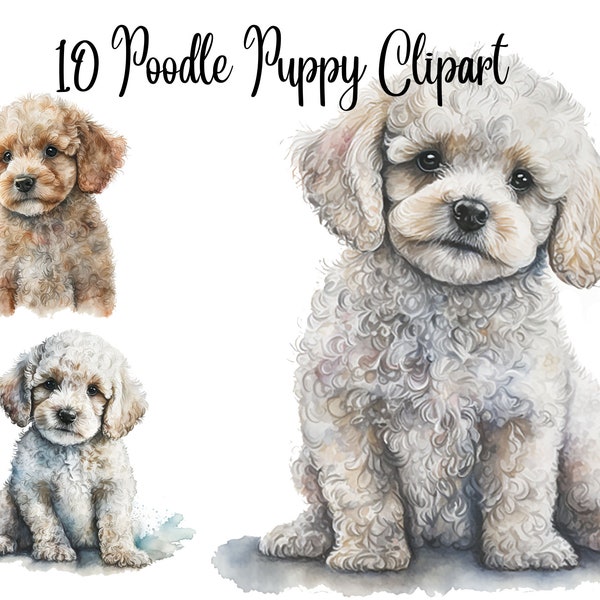 10 Poodle Puppy Clipart JPGs, High Quality JPGs, Watercolor Clipart, Digital Download, Card Making,Clip Art, Digital Paper Craft, Poodle