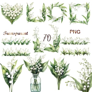 May include: A collection of watercolour illustrations featuring lily of the valley flowers. The image includes bouquets, borders, and frames. The words "Transparent" and "PNG" are visible, along with the number "70".