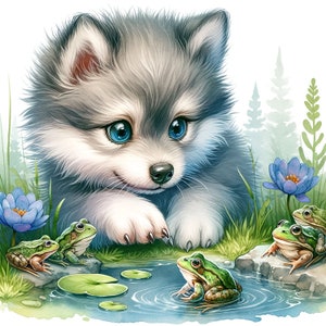 Puede incluir: Un cachorro de lobo gris y blanco con ojos azules mira hacia abajo a cuatro ranas verdes sentadas en rocas y nen&uacute;fares alrededor de un peque&ntilde;o estanque.