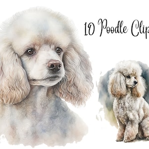 10 Poodle Clipart JPGs, High Quality JPGs, Watercolor Clipart, Digital Download, Card Making,Clip Art, Digital Paper Craft, Poodle