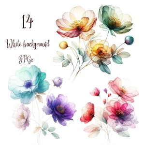 14 JPGs, Abstract Flowers Clipart bundle, Dried Flowers, set2, Printable Watercolor clipart, Digital download, Paper craft, junk journals