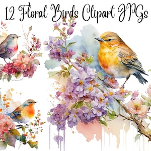 12 Floral Bird Clipart, JPGs, Digital Download, Card Making, Clip Art, Digital Paper Craft, Floral Birds watercolor, Birds illustration